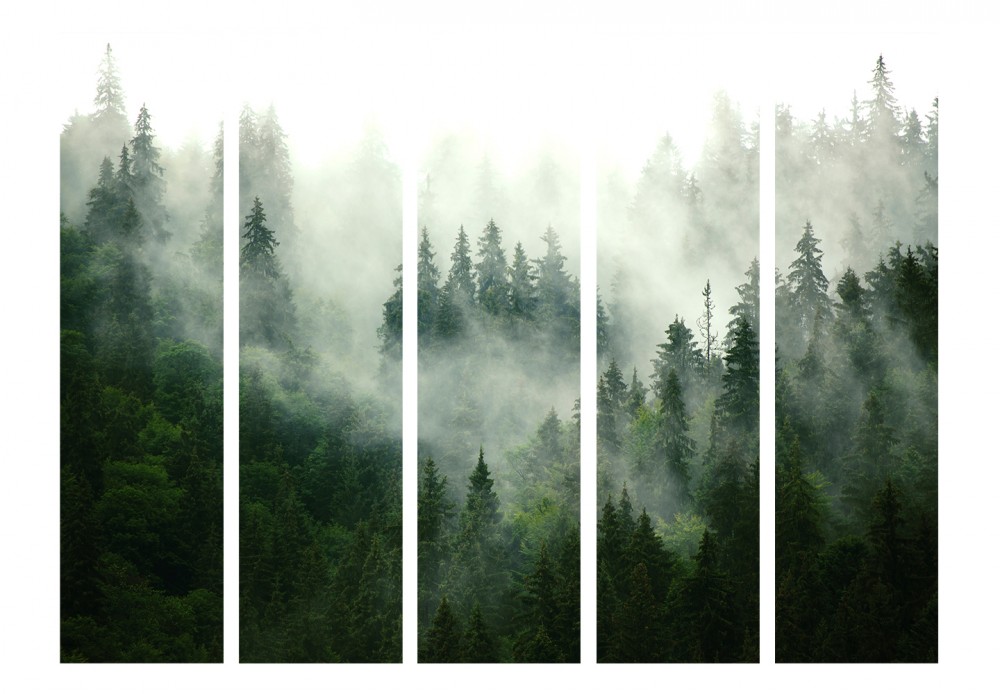 Coniferous Forest II [Room Dividers]