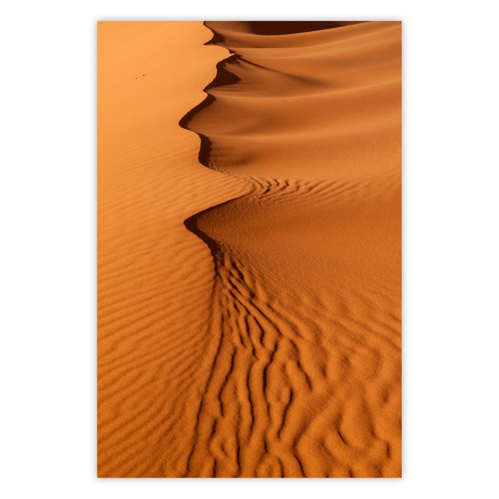 Sandy Shapes