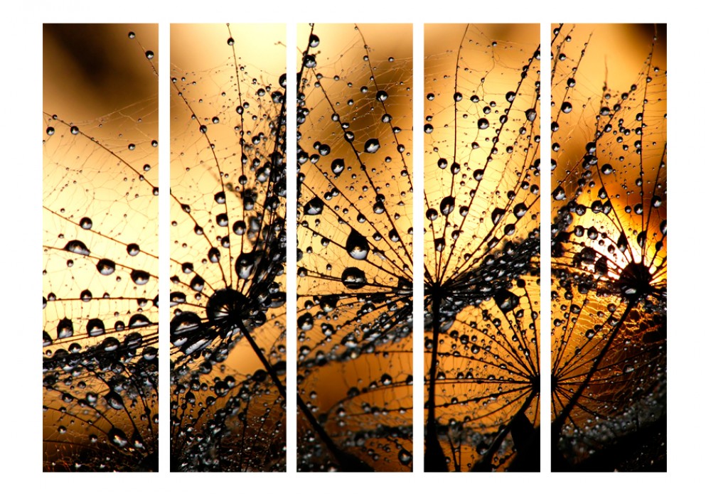 Dandelions in the Rain II [Room Dividers] 