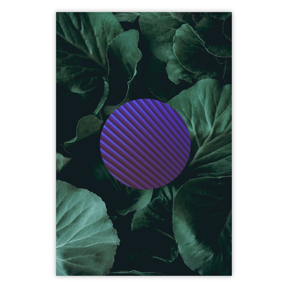 Botanical Abstraction [Poster]