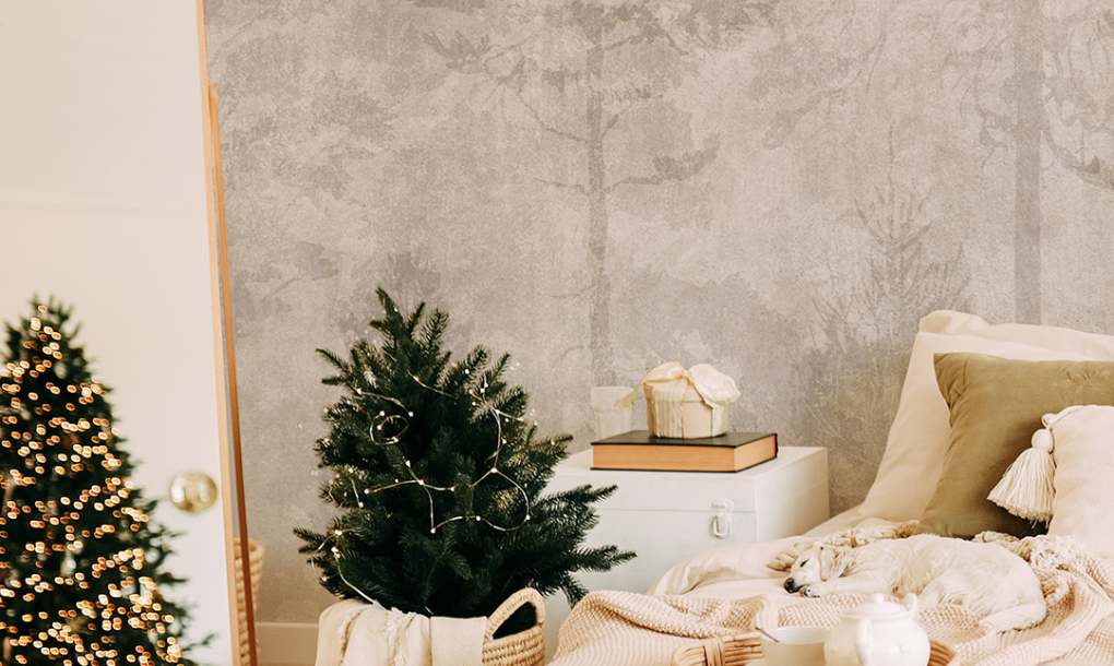 decorazioni invernali