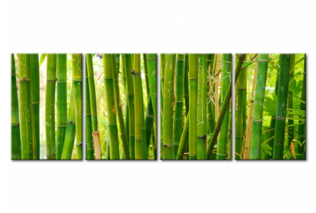 quadro per il salotto verde piante bambù colore pantone 2017 greenery