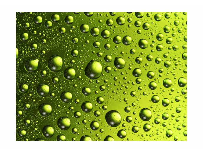 carta da parati per il salotto verde erba gocce colore pantone 2017 greenery