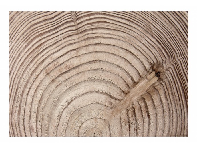 carta da parati legno venatura decorazioni in stile scandinavo
