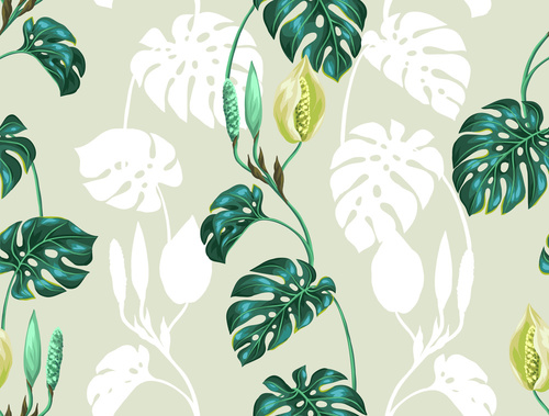 fotomurale monstera