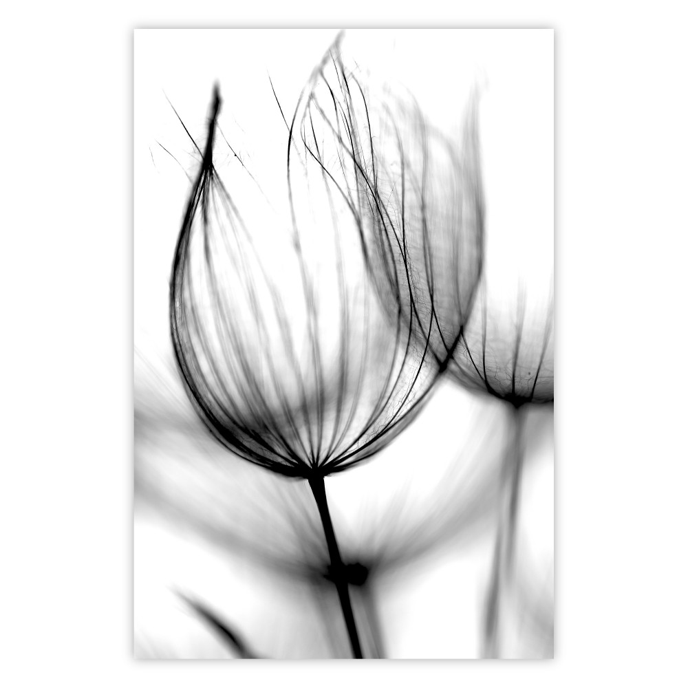 Dandelion in the Wind