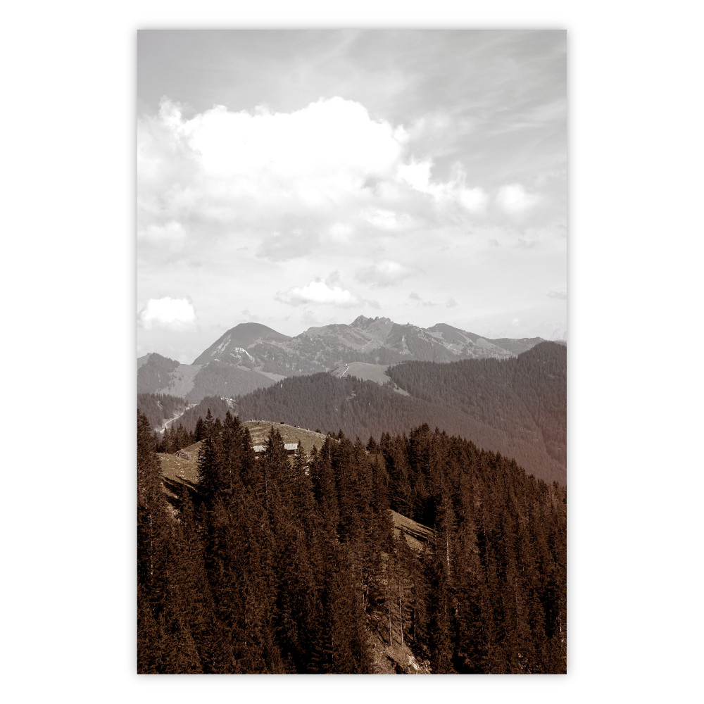 poster natura