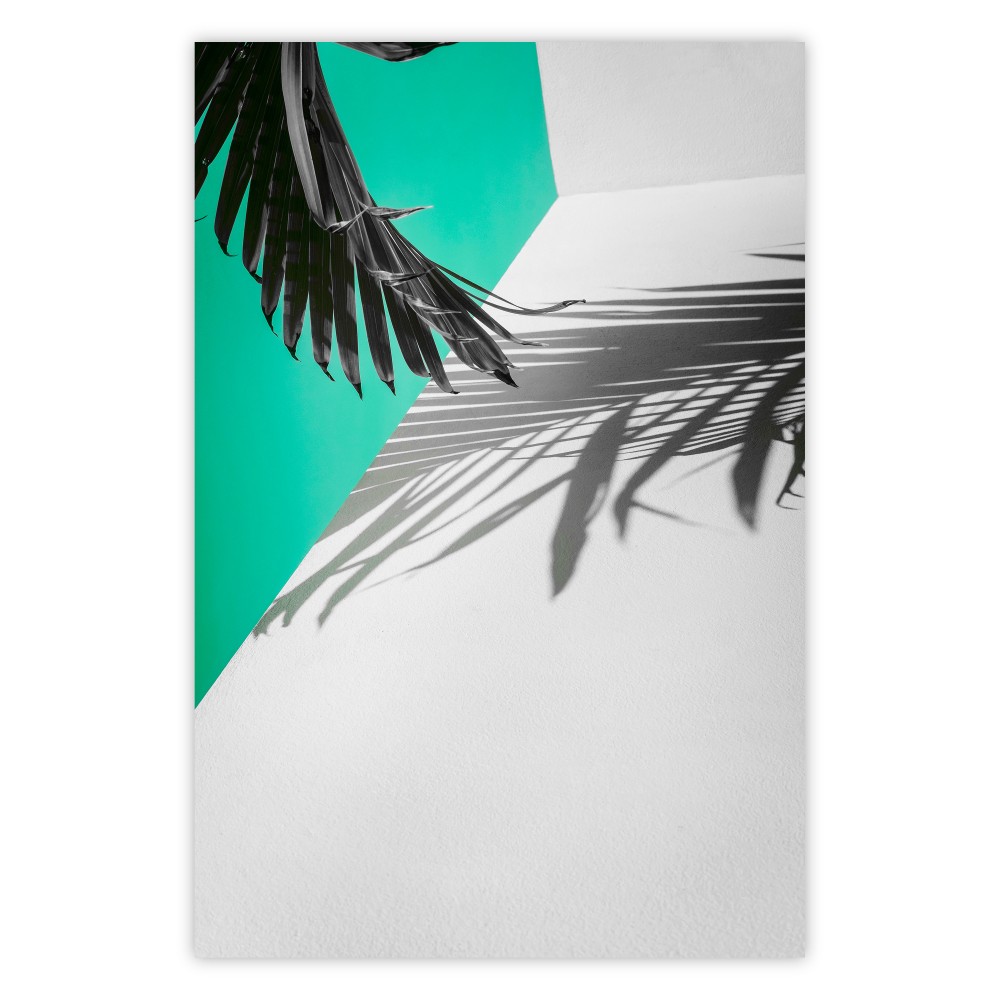 poster ombra di ramo