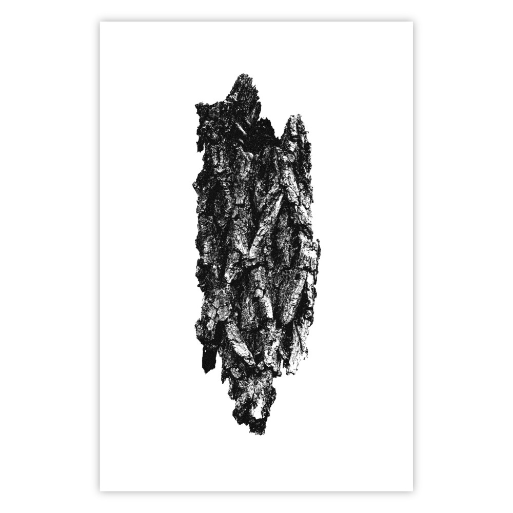 poster corteccia