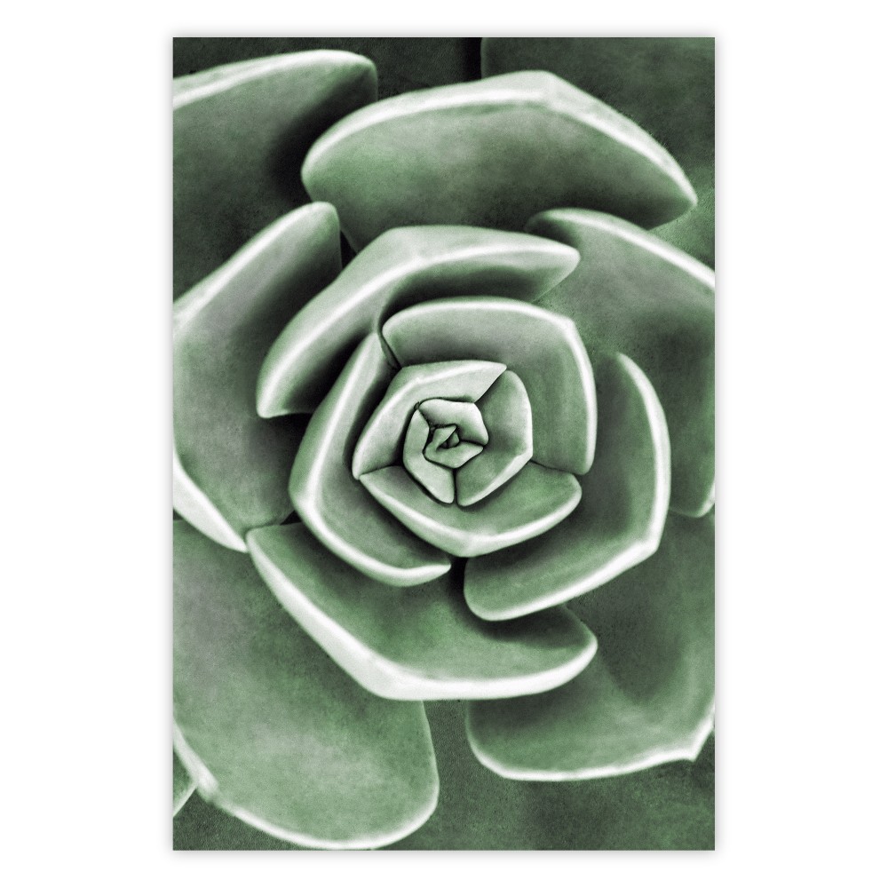 poster da parete succulente