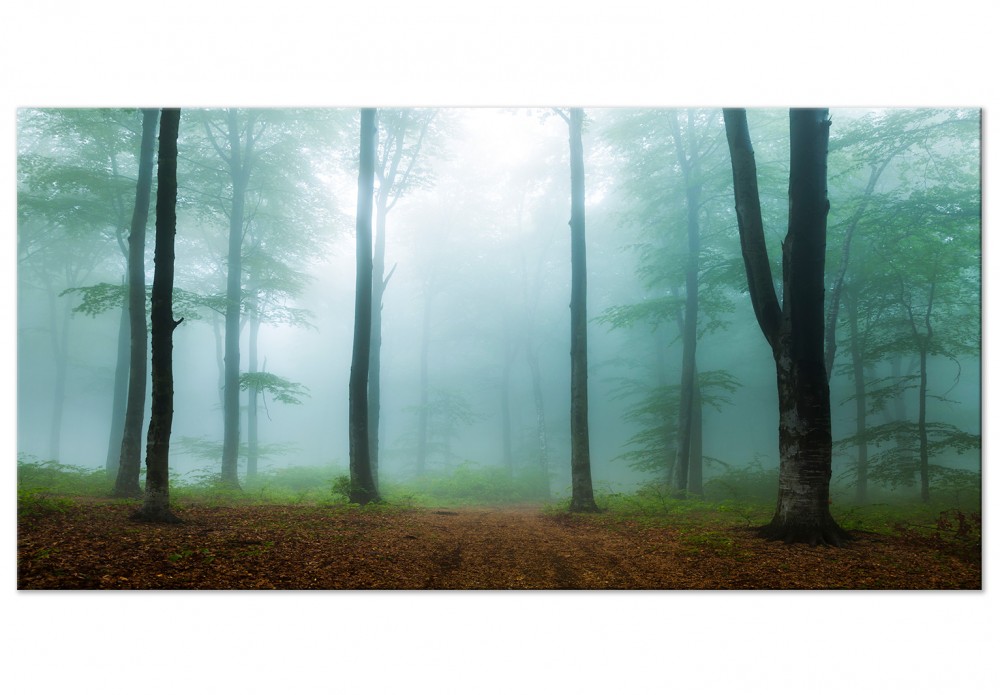 stampa su tela foresta in nebbia