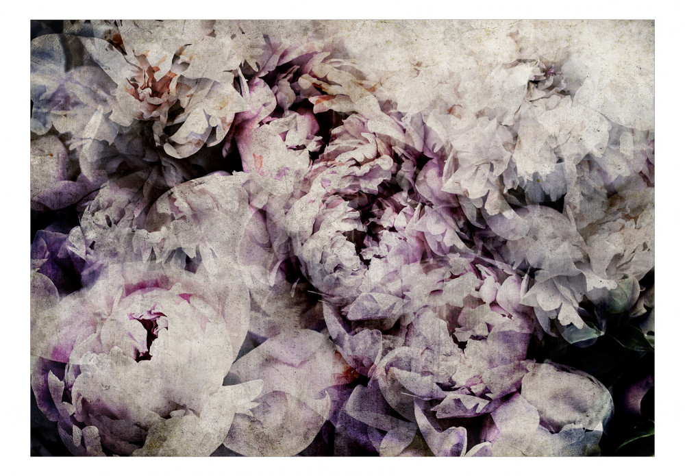carta da parati fiori