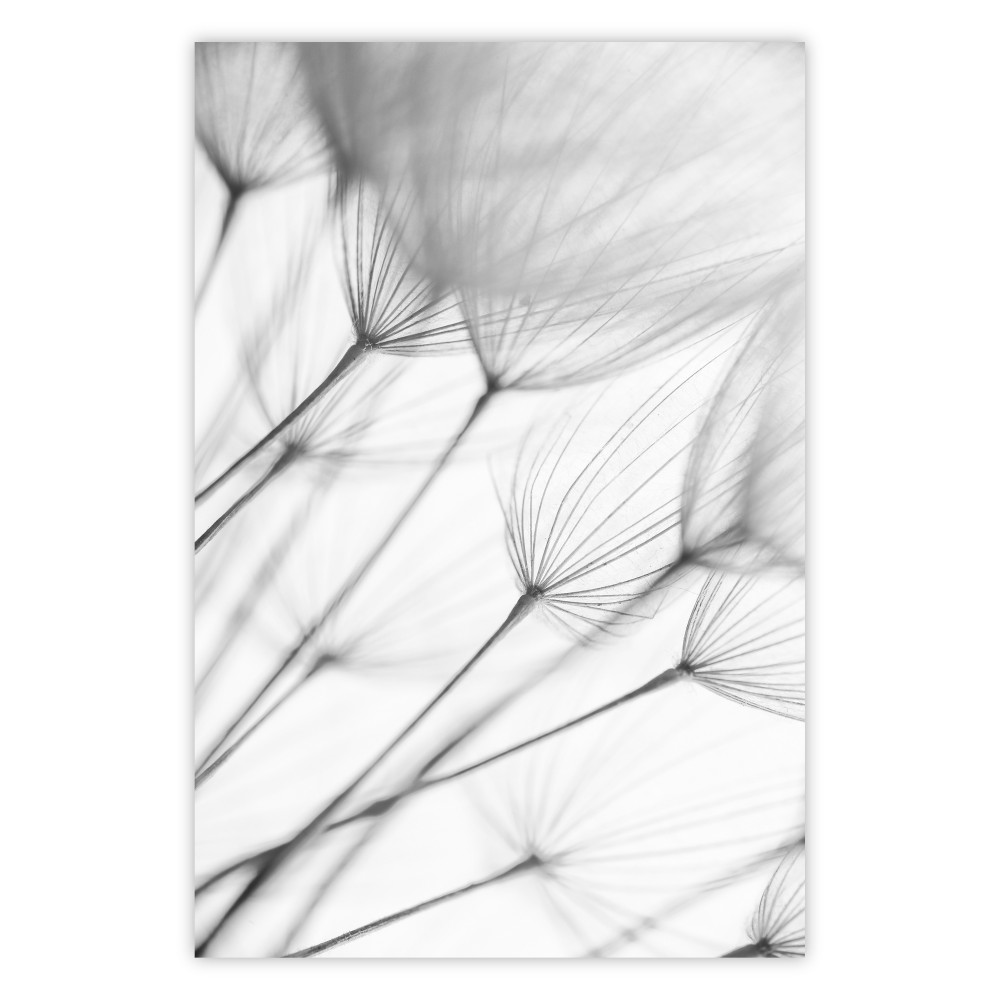 Lightness of Moment [Poster]