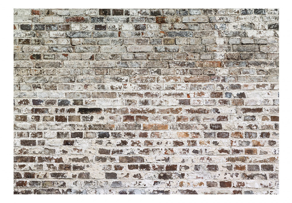 carta da parati effetto muro