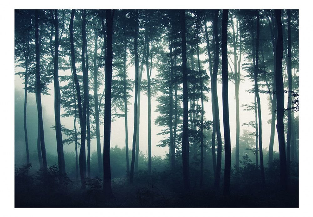 carta da parati foresta