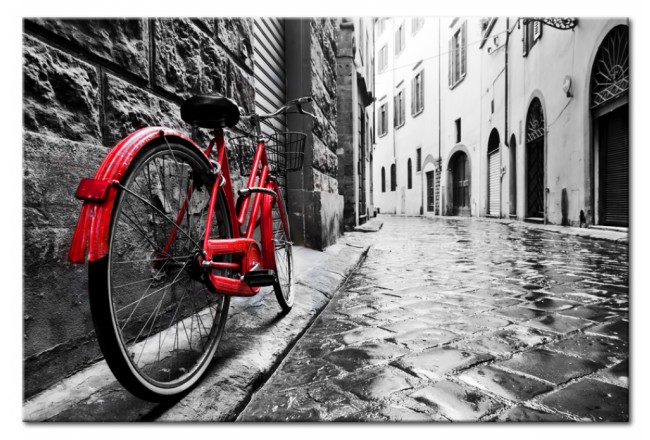 quadro rosso bicicletta via