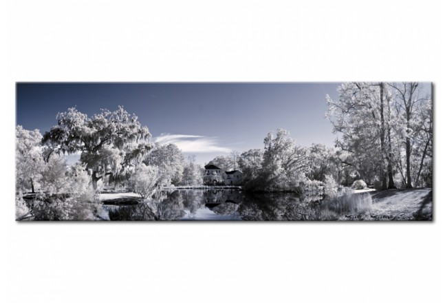 quadro su vetro acrilico alberi invernali paesaggio invernale