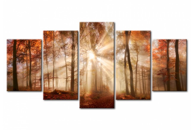 quadro autuuno foresta foglie colorate