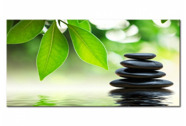quadro zen sassi foglie natura