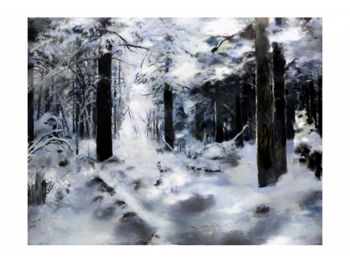 carta da parati inverno bosco alberi