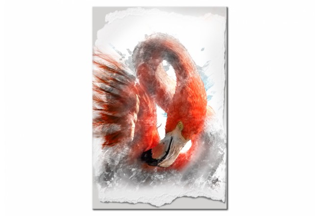 quadro natura fenicottero
