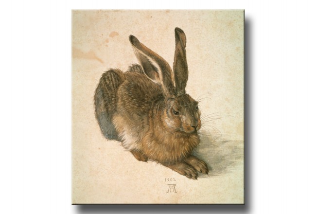 quadro riproduzione duerer