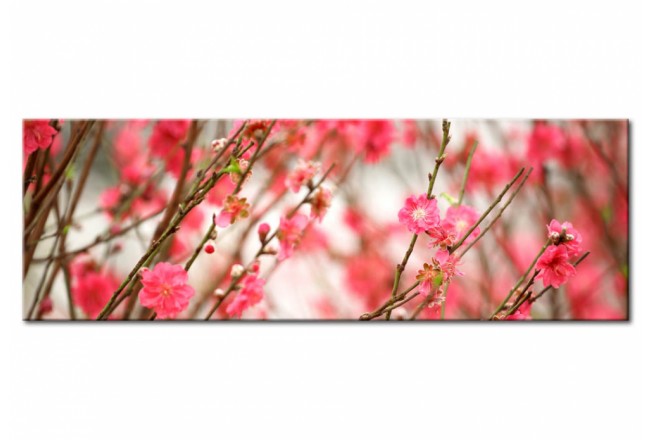 quadro fiori primavera
