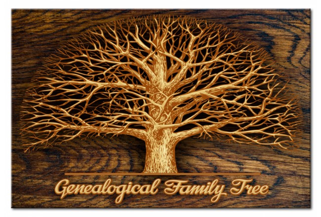 lavagna in sughero con cornici foto galleria da parete sulla parete albero genealogico