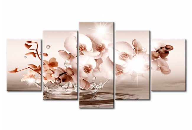 quadro fiori orchidee