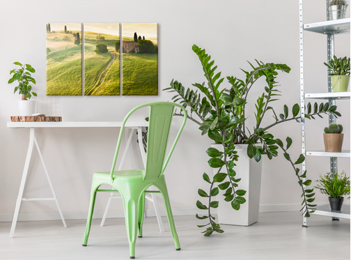 quadro verde natura toscana