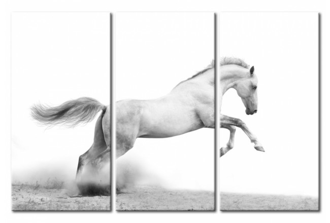 quadro multipannello cavallo