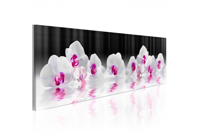 quadro orchidee bianche natura acqua