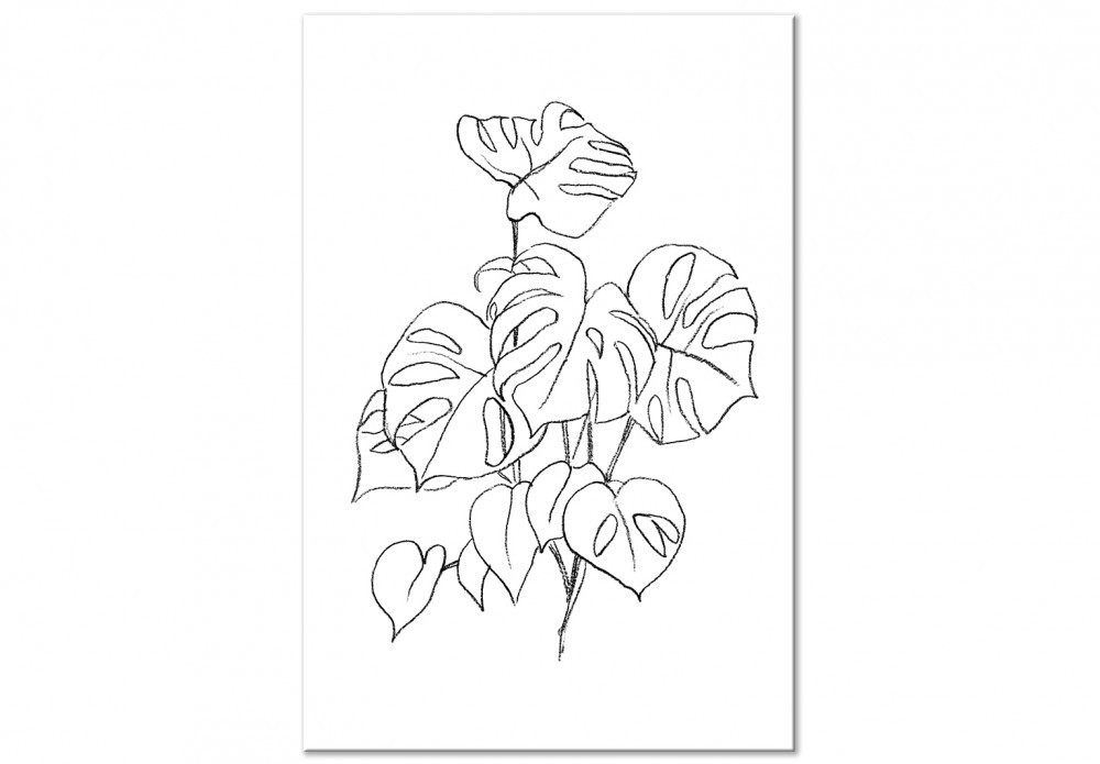 quadro monstera