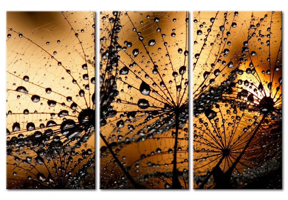 Dandelions and Dew [Glass]