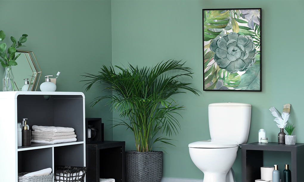 bagno verde
