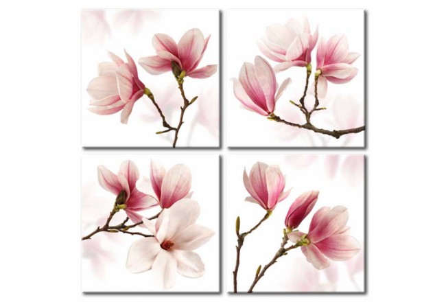 quadro fiori magnolie