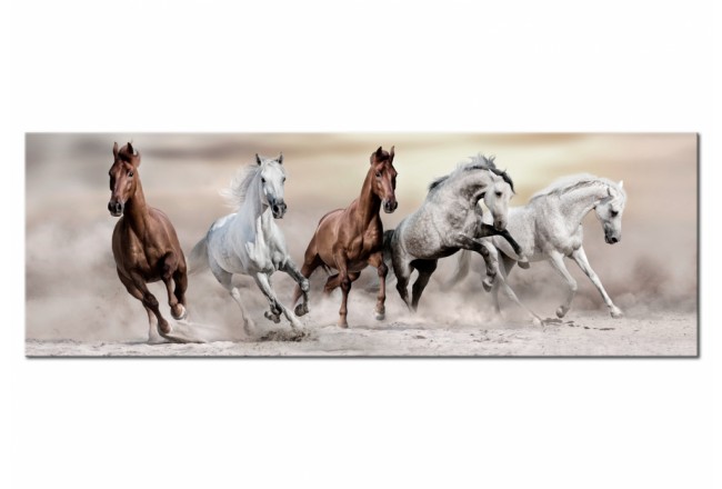 quadro per il soggiorno cavalli