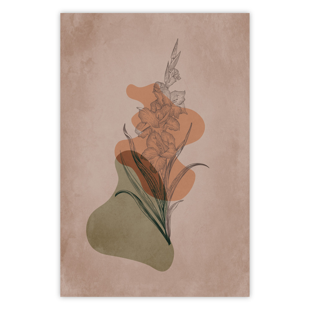 Gladiolus [Poster]