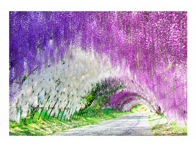 carta da parati 3d giardino fiori viola